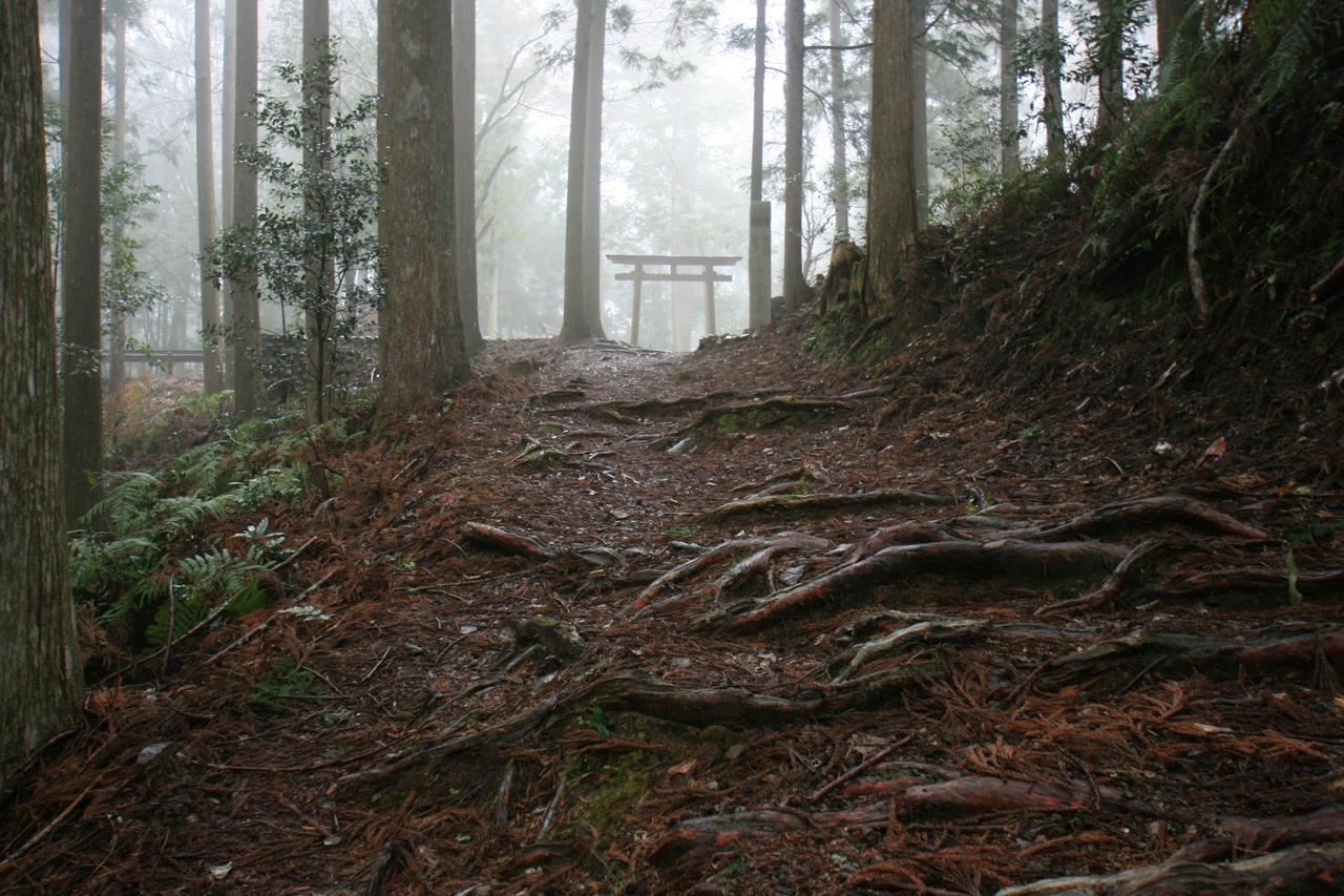 Watarase Onsen Hotel Yamayuri Hongu Εξωτερικό φωτογραφία